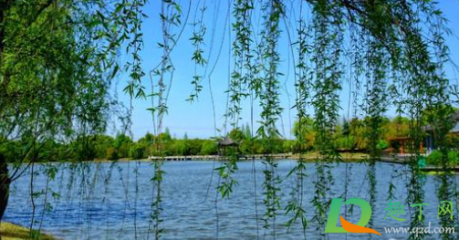 2021年4月5号是清明节吗(2021年清明节是4月4还是4月5号) 2021年4月5号是清明节吗(2021年清明节是4月4还是4月5号)