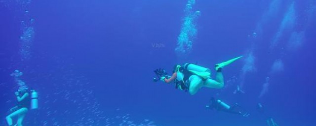 奥运知识(奥运知识竞赛试题及答案)