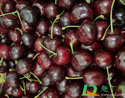 bing车厘子是什么品种(车厘子是哪个品种) bing车厘子是什么品种(车厘子是哪个品种)