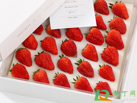 为什么草莓泡在水里会烂(草莓泡水会烂吗) 为什么草莓泡在水里会烂(草莓泡水会烂吗)