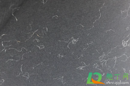 人造毛外套掉毛怎么办(人造毛衣服掉毛毛怎么处理)