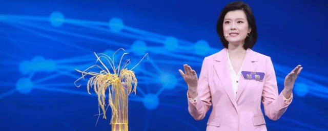 播出时间是在什么时候(多长时间播出)