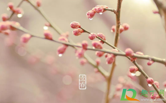 躲春的时候可以睡觉吗(躲春可以睡觉吗?)