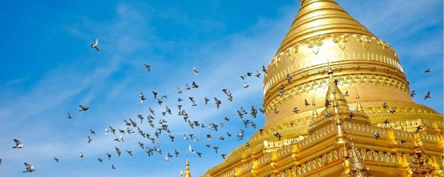 去缅甸需要什么手续(去缅甸需要什么手续在哪里办)