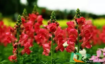 2021年五一天气会热吗(2021年夏天天气会热吗) 2021年五一天气会热吗(2021年夏天天气会热吗)