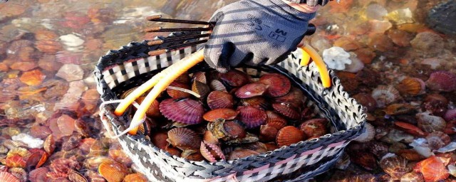 这里告诉你答案(让我来告诉你答案)