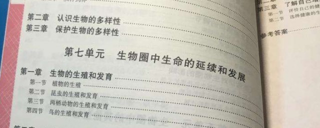 中考前20天复习备考有妙招