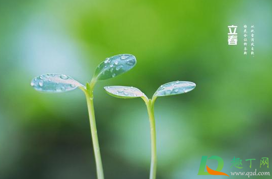 躲春的时候可以睡觉吗(躲春可以睡觉吗?)