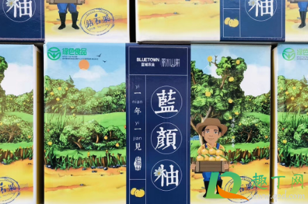 蓝颜柚孕妇可以吃吗(青柚孕妇能不能吃)