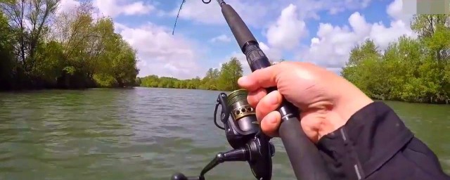 在冬天准备钓青鱼用什么饵(天冷钓青鱼用什么饵料最好)