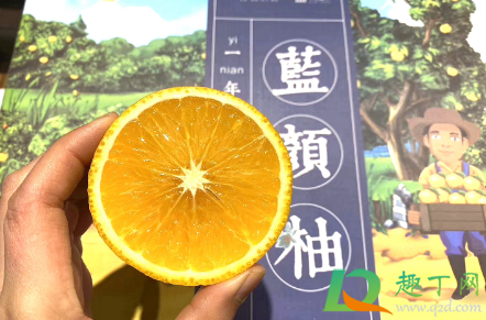 蓝颜柚是什么东西(蓝颜柚好吃吗)