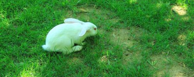 真相大揭晓(真相大揭秘)