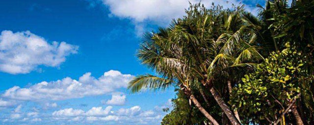 2月份国外旅游最好地点推荐和介绍(国内2月份旅游最佳地方推荐)