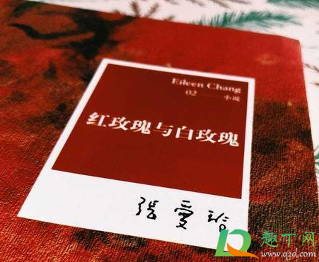 朱砂痣是什么梗(朱砂痣到底是什么意思)