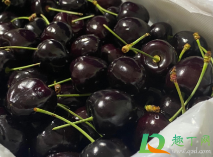 科迪亚车厘子是哪个国家的(科利亚车厘子是哪个国家) 科迪亚车厘子是哪个国家的(科利亚车厘子是哪个国家)