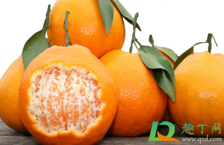 耙耙柑能放冰箱冷藏吗(耙耙柑要不要冷藏)