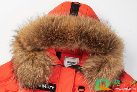 羽绒服上的貉子毛领怎么洗(貉子皮毛领子怎么清洗)