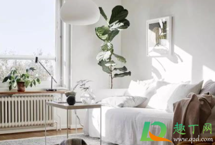 立式暖气片哪个是进水口(立式暖气片进水口和出水口怎么区分)