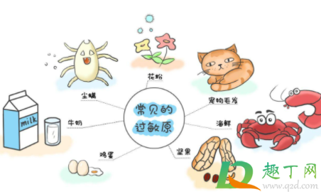 脱敏治疗是口服好还是注射好(脱敏吃药和打针哪个效果好) 脱敏治疗是口服好还是注射好(脱敏吃药和打针哪个效果好)