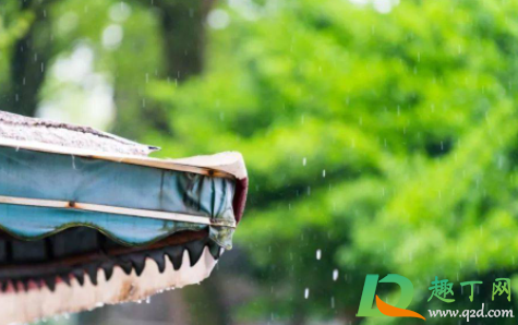 2021雨水节气可以结婚吗(2021雨水节气是哪天)