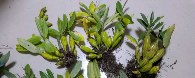 你不光要清楚还要牢记在心(牢牢记在心里)