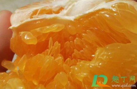 耙耙柑和沃苷哪个好吃(沃柑跟耙耙柑哪个更甜)