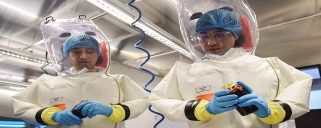 p4实验室的介绍(p4实验室的作用)