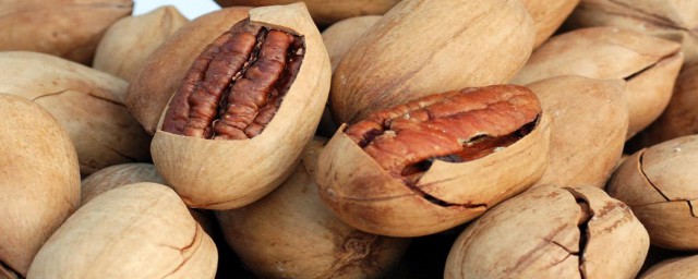 碧根果的介绍(碧根果百科知识)