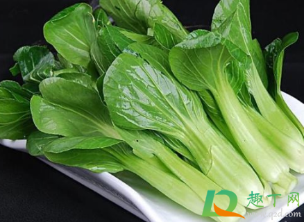 青菜叶上长满小小的虫是什么(青菜上面有小小的虫)