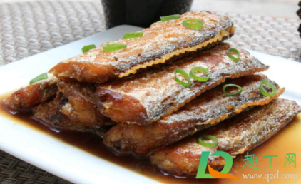 被带鱼扎出血会得病吗(被带鱼扎伤)