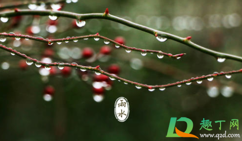 2021雨水节气可以结婚吗(2021雨水节气是哪天)