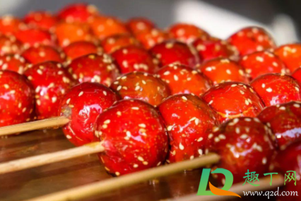 糖葫芦熬糖什么时候加盐(做冰糖葫芦要加盐吗) 糖葫芦熬糖什么时候加盐(做冰糖葫芦要加盐吗)