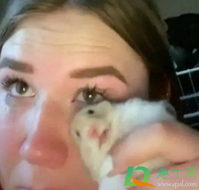 蚌埠住了是什么梗(蚌埠是啥梗)