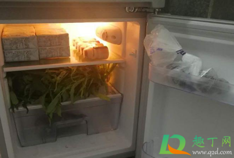 冰箱出现异响怎么回事(冰箱有异响是什么问题)