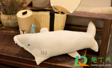 抱枕发霉怎么洗掉霉斑(抱枕发霉如何去除)