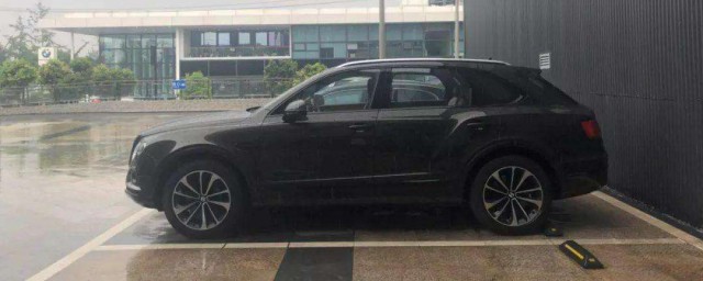 各种车漆脏污的清理方法(车漆上的脏东西怎么清理)