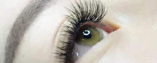 种睫毛的各位是如何洗脸的(种睫毛如何洗脸方法)