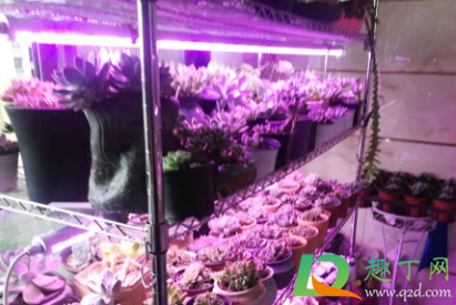 紫外线消毒灯用多长时间能杀菌(紫外线消毒灯可以用多长时间)