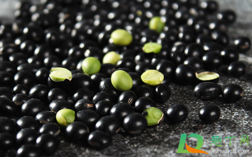 黑豆醋染发是真的是假(有谁试过醋和黑豆染发吗效果怎样) 黑豆醋染发是真的是假(有谁试过醋和黑豆染发吗效果怎样)