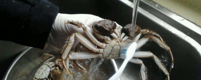 螃蟹清洗的小窍门(螃蟹最简单的清洗方法)