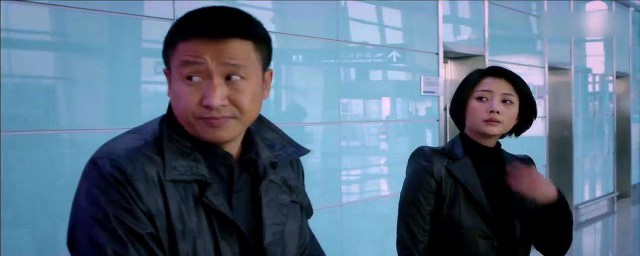 段虎乔安娜的电视剧介绍(电视剧无贼安宝)