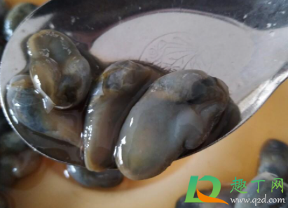 泥螺能吃吗(泥螺哪不能吃) 泥螺能吃吗(泥螺哪不能吃)