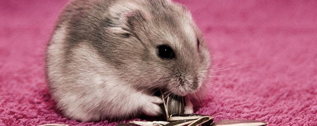 具体寻找方法(怎么寻怎么找)