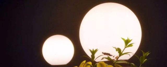 千里共良宵的节目特色(千里共良宵有哪些主持人)