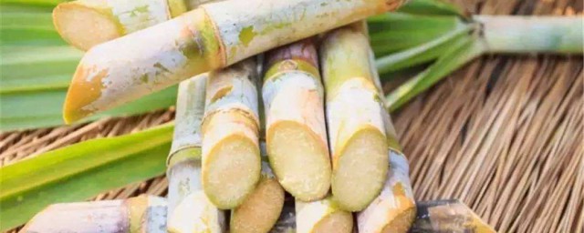 甘蔗的功效与作用(甘蔗干的功效与作用禁忌)