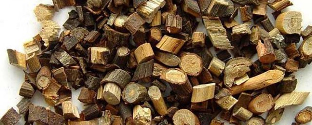 桂枝一般产在哪(哪个产地桂枝最好)