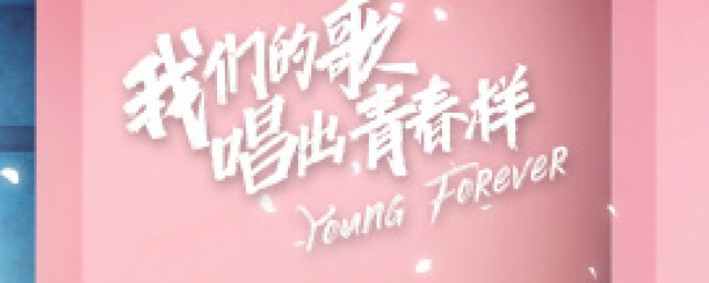 总决赛冠军是哪组(总决赛百度百科)