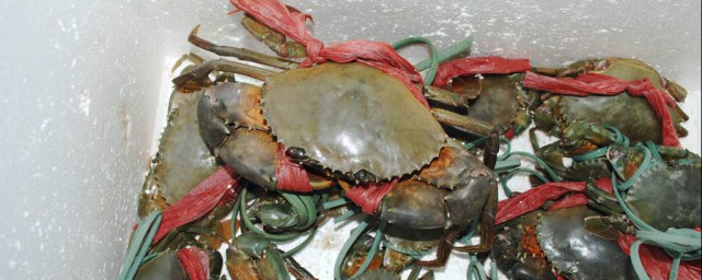 怎样才能把河螃蟹存上几天(河蟹能放多久,储藏方法)