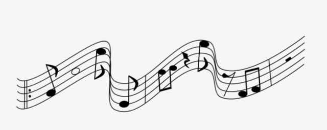 拍号什么意思(拍号车是什么意思)