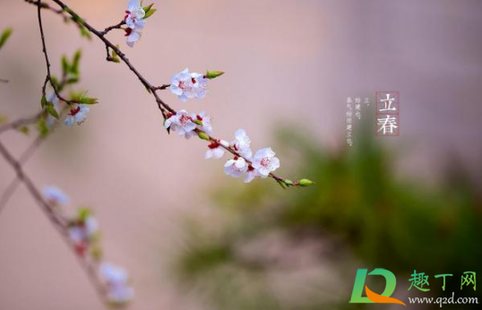 2021年打春是阳春还是阴春(2021年是年前打春还是年后打春) 2021年打春是阳春还是阴春(2021年是年前打春还是年后打春)